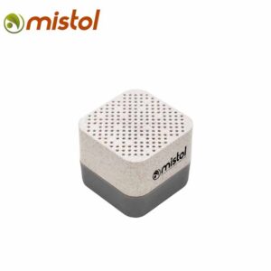 Parlante Wireless Earth